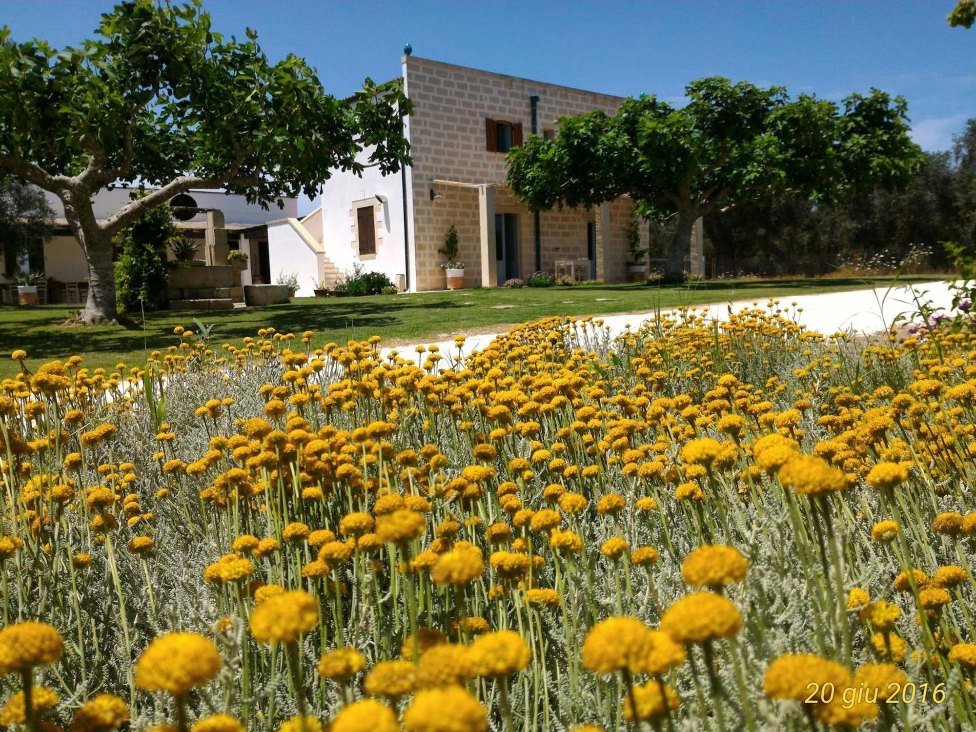 Masseria Vignenove Uggiano La Chiesa Exterior foto